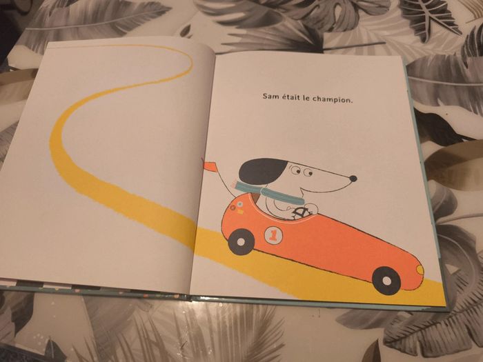 Album sam le Champion - photo numéro 3