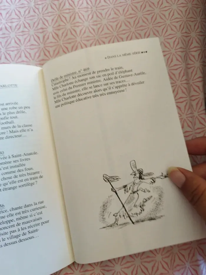 🔴Une fabuleuse femme de ménage - photo numéro 7