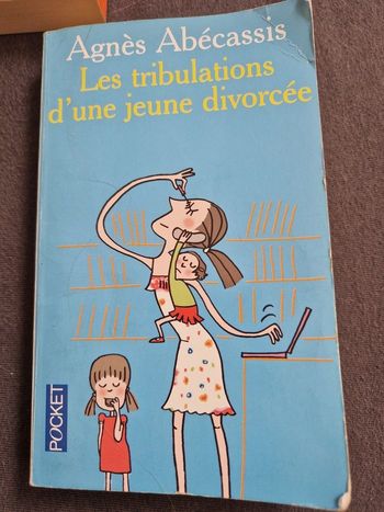 Roman les tribulations d une jeune divorcée