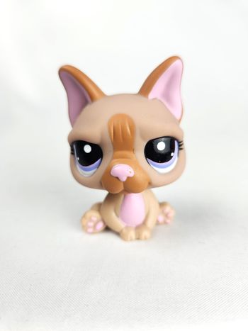 Littlest Petshop LPS Bouledogue Français #1896