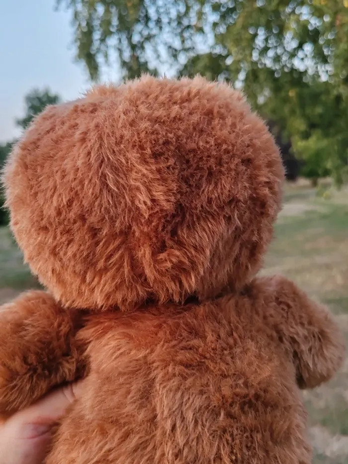 Peluche nombrilou ours vintage marron - photo numéro 13