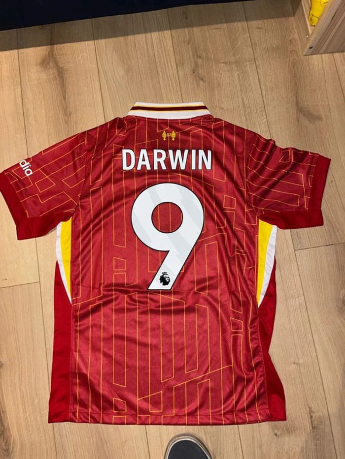 Vareuse de football du FC Liverpool de Darwin Nunez