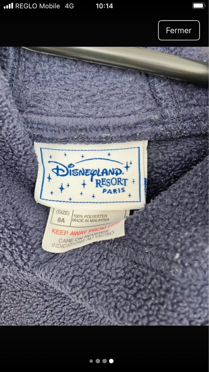 Pull chaud Disney land Paris - photo numéro 3