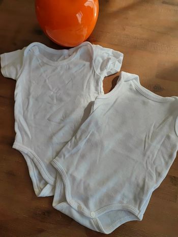 Lot de 2 bodies 6 mois