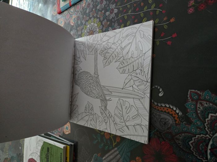 Coloriage Colour and relax - photo numéro 6