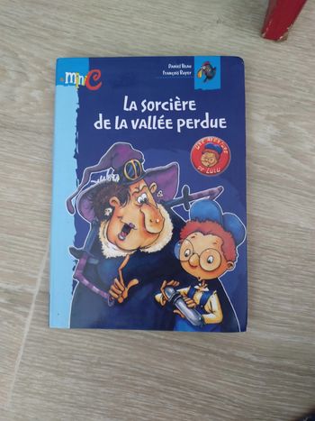 Livre La sorcière de la vallée perdue
