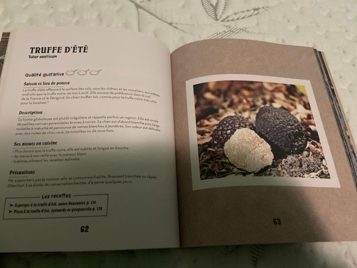 Je cueille et je cuisine les champignons - photo numéro 3