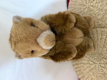 peluche marmotte aux nations