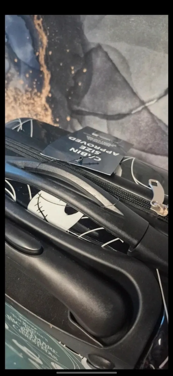 Valise disney - photo numéro 13