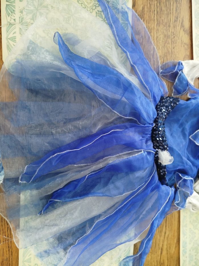 Déguisement la Fée Clochette - photo numéro 5