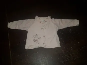 Veste