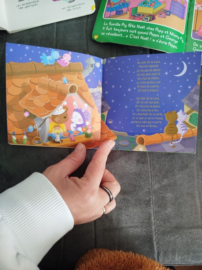 Lot 3 petit livres - photo numéro 8