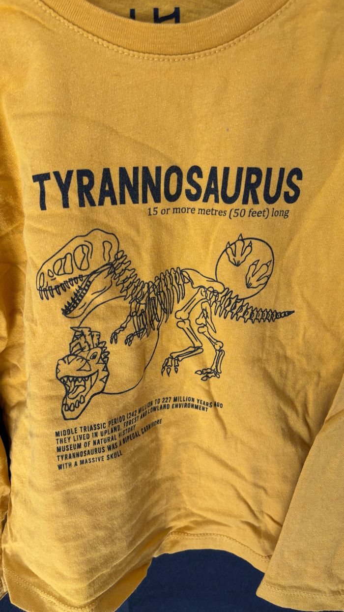 Tee shirt - photo numéro 2