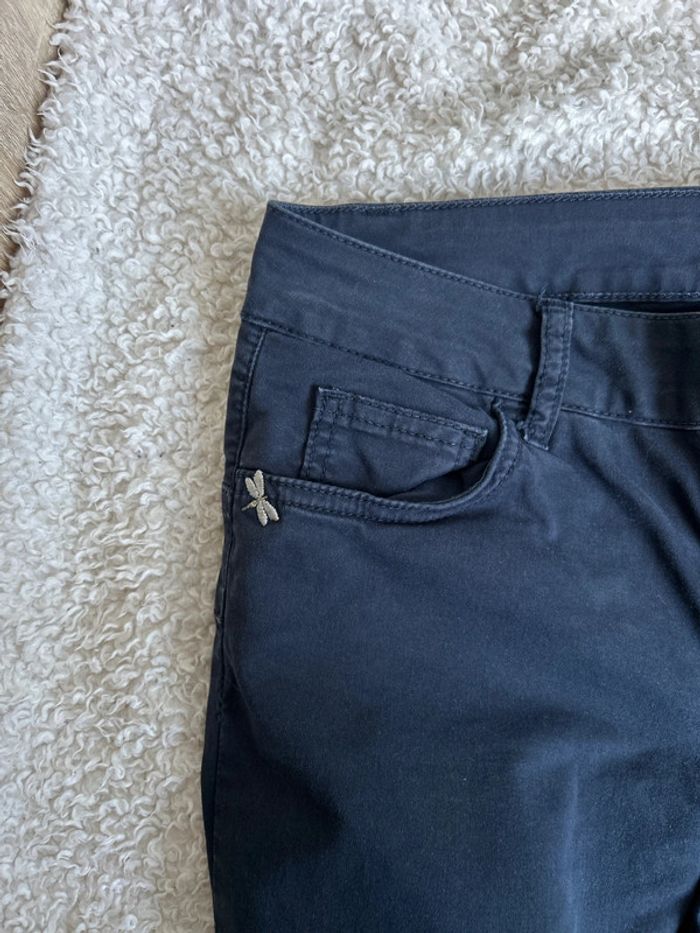 Chino - photo numéro 3