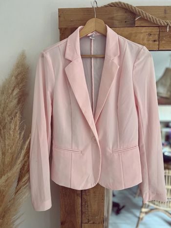 Veste blazer rose pale avec dos et manches transparentes Neuf