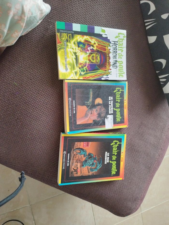 Lot de 18 livres chair de poule et un vallée fantôme - photo numéro 10