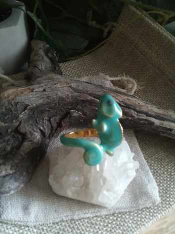 Bague caméléon