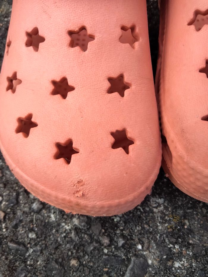 Mules - photo numéro 4
