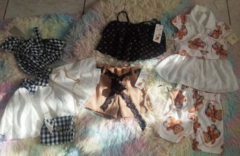 Lot ensembles 12/18 mois girly 