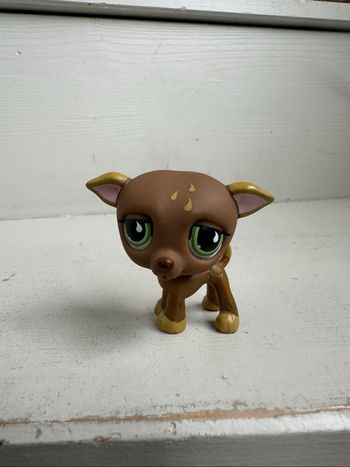 Petshop lévrier chien