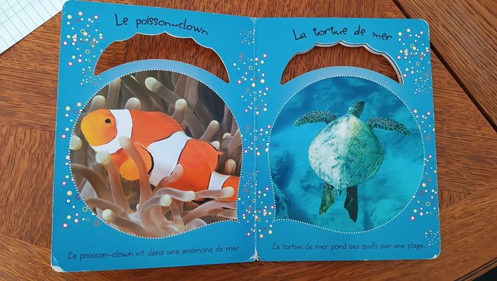 Livre imagier première ms découvertes des animaux de la mer - photo numéro 4