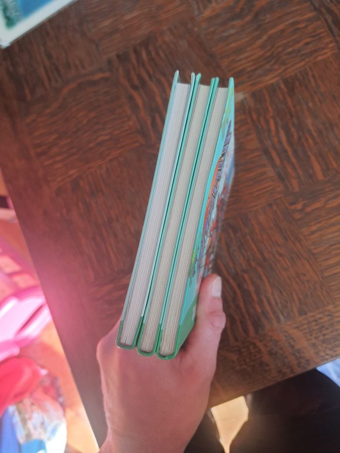 Lot de 3 livre baskup tome 1.2et3. - photo numéro 3