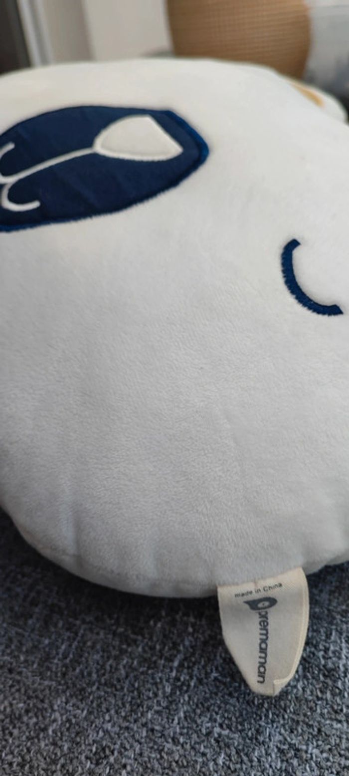 Lot de 3 jolis coussins - photo numéro 3