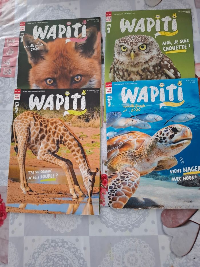 Wapiti - photo numéro 3