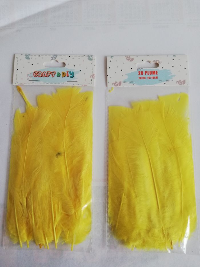 40 plumes pour déco