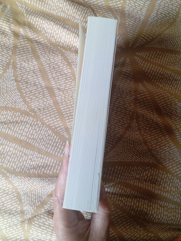 Livre pars avec lui - photo numéro 4