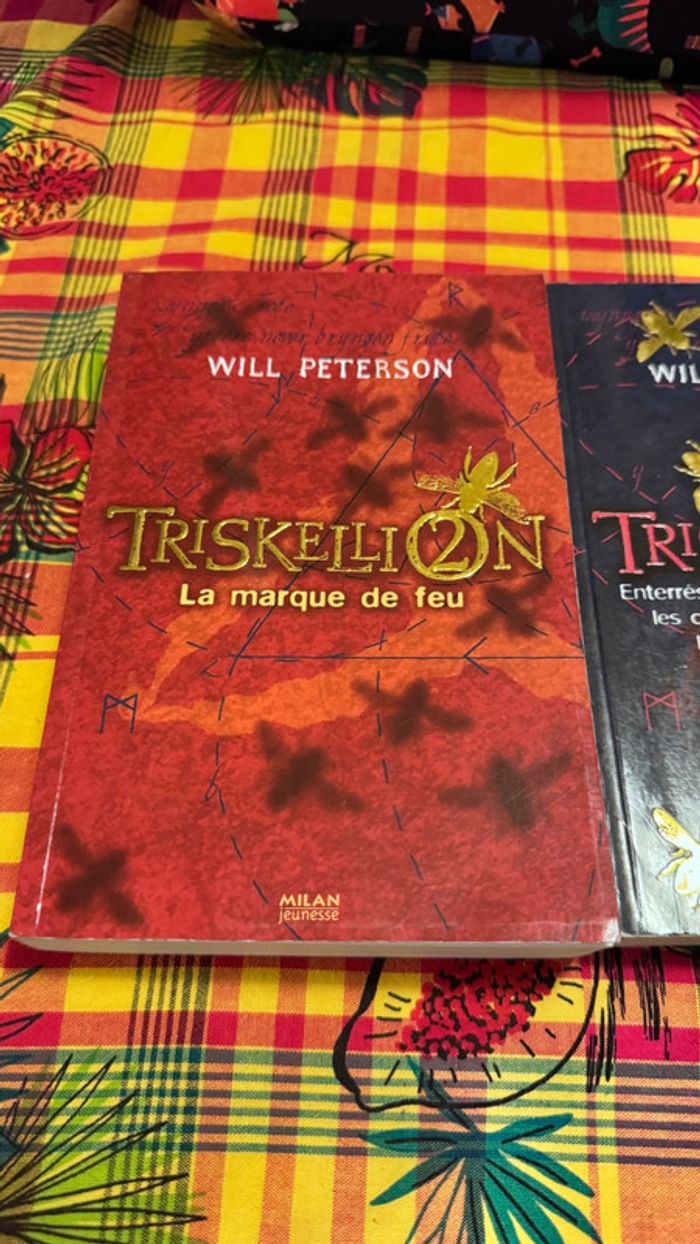 Lot de 2 livres Triskellion – Will Peterson – Suspense jeunesse captivant ! - photo numéro 2