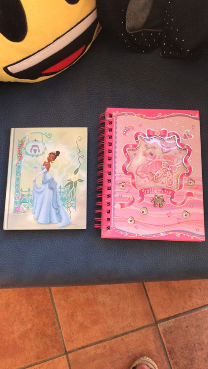 Disney neuf carnet la princesse et la grenouille + carnet ballerine