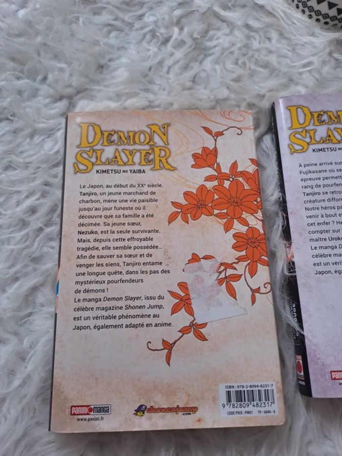 Manga démon slayer tome 1 2 3 - photo numéro 5