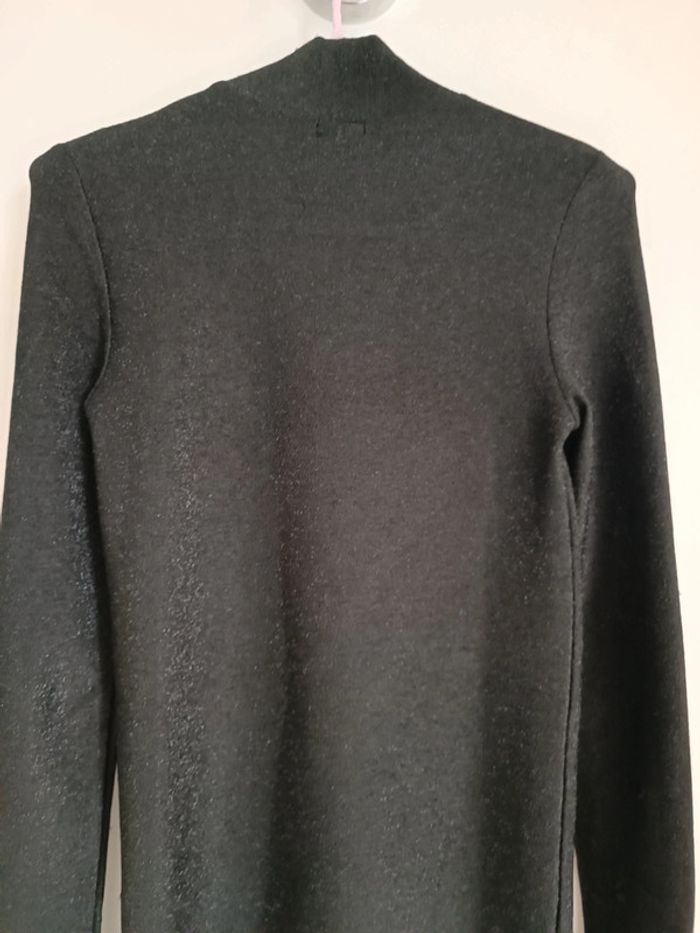 Robe brillante - photo numéro 2