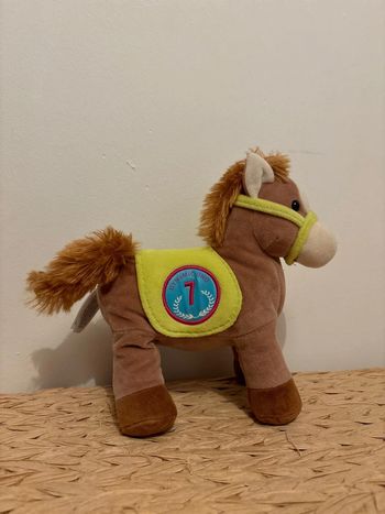 Poney race poneez gipsy