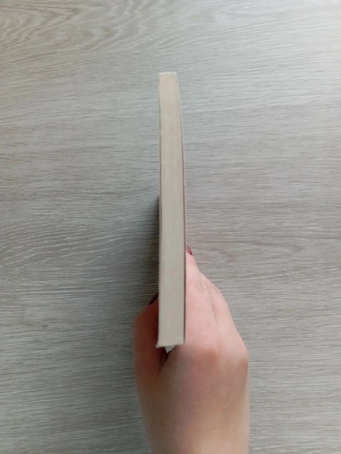 Livre : Yvain ou le Chevalier au lion de Chrétien de Troyes - photo numéro 4