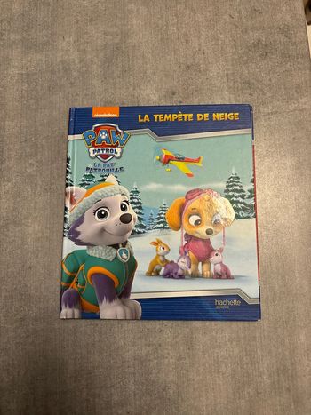 Livre  Pat’Patrouille la tempête de neige