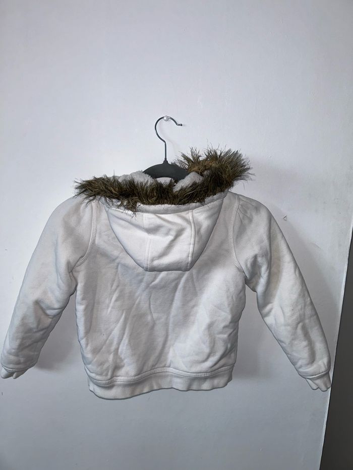 Veste - photo numéro 4