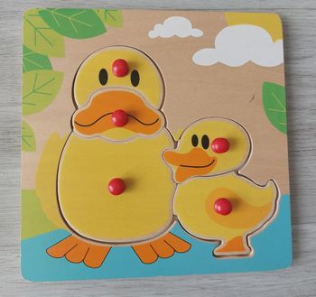 Puzzle canards