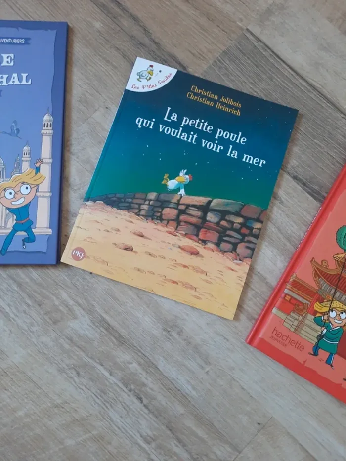 Lot de 3 livres neuf - photo numéro 3