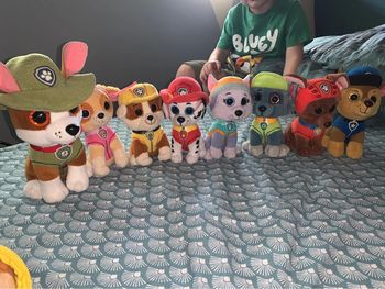 Lot peluche ty pat patrouille