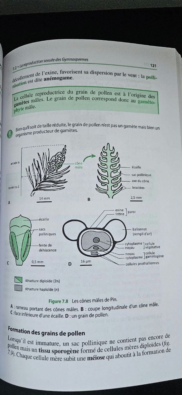 Manuel Biologie végétale - Cours + QCM + QROC - Licence/Prépa/Master - photo numéro 10