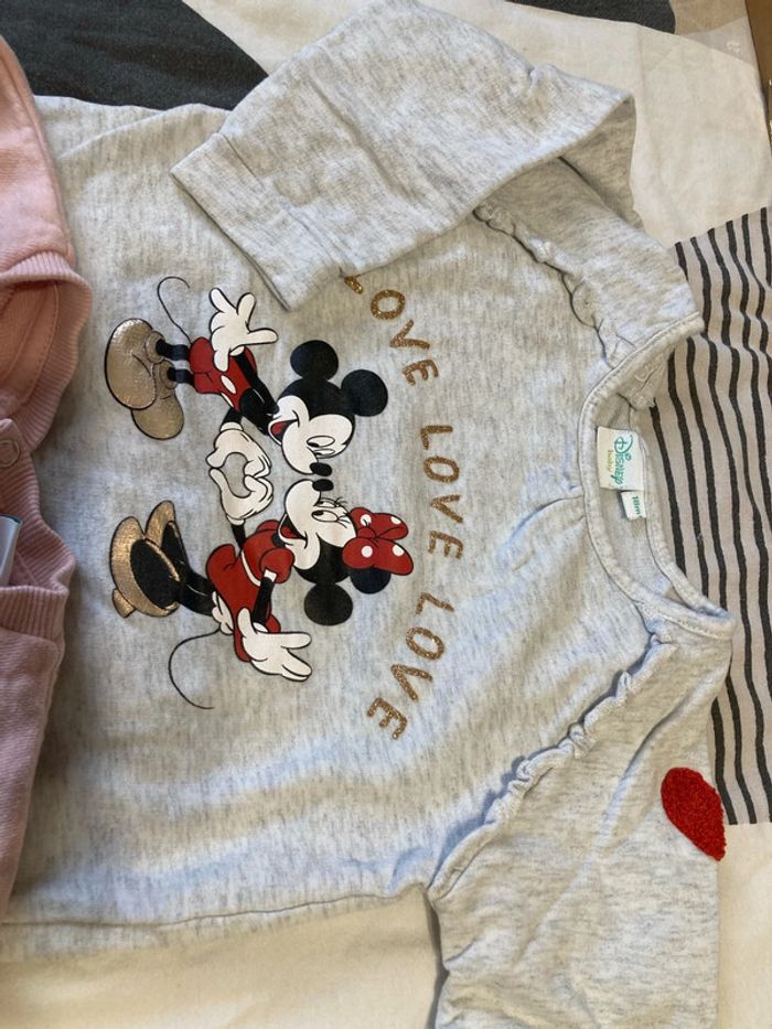 Lot de 2 sweat-shirt bébé fille - photo numéro 2