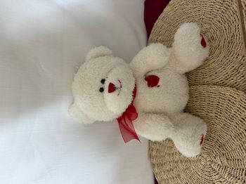 ours en peluche blanc avec coeurs gipsy