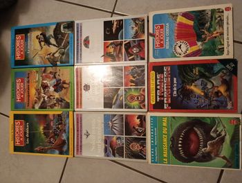 Lot 9 Livres Dont Vous Êtes Le Héros LDVELH