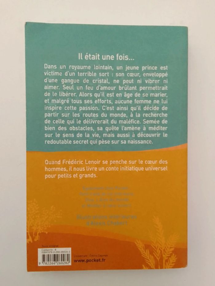 Frédéric Lenoir 🍀 Coeur de cristal - photo numéro 2