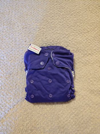 Couche lavable Blueberry