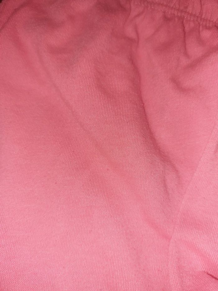 Short rose - photo numéro 2