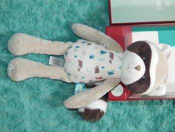 Doudou Léon raton laveur 27 cm Kaloo 🦝état neuf