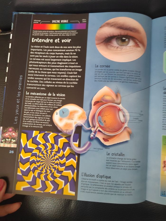 L'imagerie du corps humain - photo numéro 3